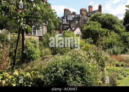 Chelsea Physic Garden London England uk Banque D'Images