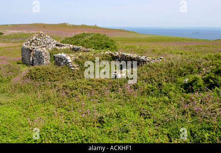 Ruines de l'ancien bâtiment de ferme sur l'île de Skomer West Wales Pembrokeshire UK Banque D'Images