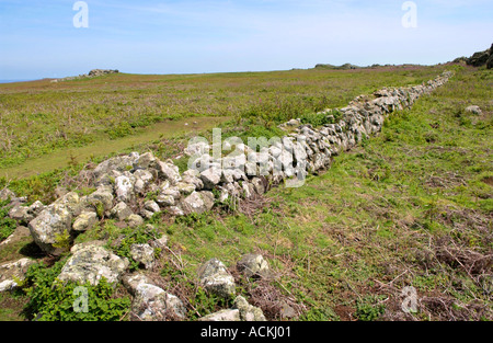 Vieux murs en pierre sur l'île de Skomer National Nature Reserve, Pembrokeshire Wales UK Banque D'Images