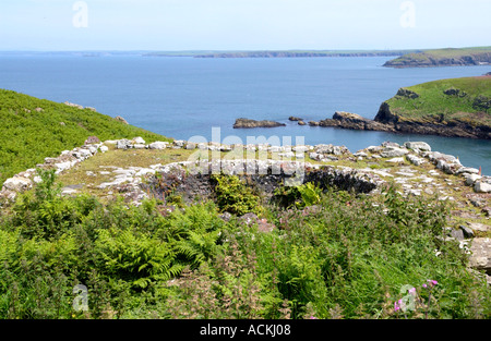 Vue sur un vieux four à chaux utilisés en agriculture sur l'île de Skomer Pembrokeshire Wales UK Banque D'Images