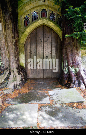 Deux ifs qui entourent l'église de St Edward porte nord à Stow on the Wold , Cotswolds , Angleterre Banque D'Images