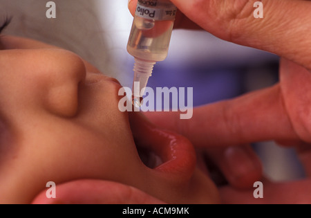 L'enfant prend le vaccin contre la poliomyélite ou la paralysie infantile, une maladie infectieuse grave des nerfs de la colonne vertébrale. Banque D'Images