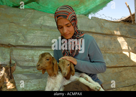 Un jeune villageois palestinien tient des agneaux dans le hameau troglodyte de Khirbet Susya, dans les collines d'Hébron du Sud, sur la rive ouest d'Israël Banque D'Images