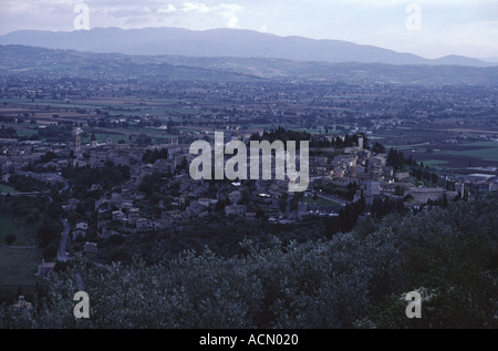 Olive Grove bas des pentes du Monte Subasio à Spello et Topino River Valley à Bevagna et Montefalco Banque D'Images