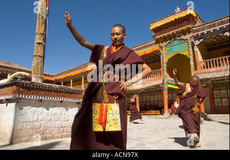 Jammu-et-Cachemire Inde Himalaya Ladakh village de Hemis Hemis moines festival danse de cour du monastère Banque D'Images