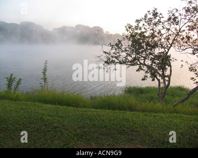 L'aube avec brouillard à la Lake dans Brasilia, Brésil Banque D'Images