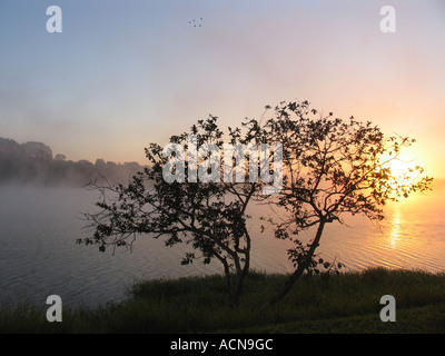 L'aube avec brouillard à la Lake dans Brasilia, Brésil Banque D'Images