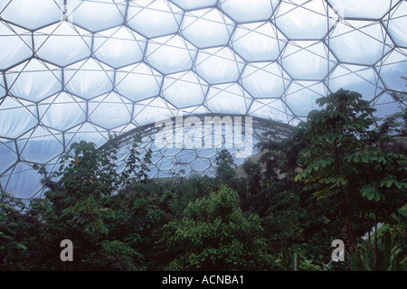 L'intérieur du biodôme tropicaux de l''Eden Project Banque D'Images