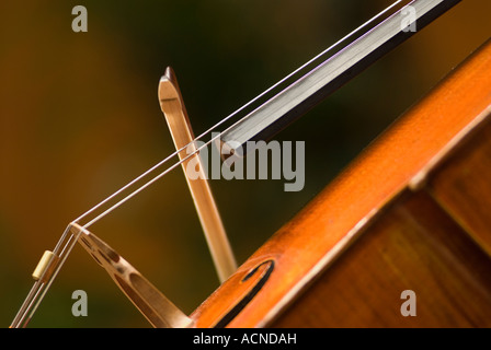 Vue rapprochée d'un arc jouant sur les cordes près du pont de violoncelle Kaul Auditorium Portland Oregon Banque D'Images