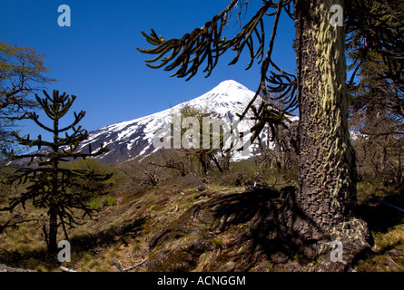 Lanin volcan Villarrica, Parc National, frontière avec l'Argentine/Chili Banque D'Images
