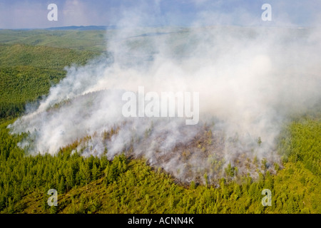 Komsomolsk Russie Juin 2007 Un incendie de forêt dans une région éloignée de la forêt de la taïga sibérienne Banque D'Images
