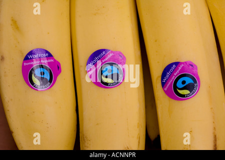 Les bananes de la République Dominicaine avec contrôlés par FLO-Cert supermarché Waitrose étiquettes UK Banque D'Images