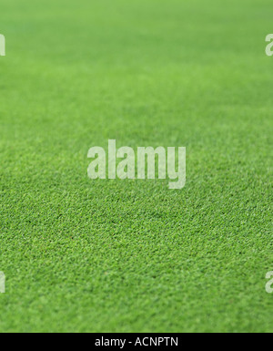 L'herbe verte manucurés finement ou le gazon d'un trou de golf green Banque D'Images