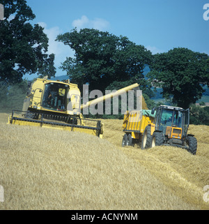 New Holland TX64 combiner la récolte d'orge et de décharge à la remorque Banque D'Images