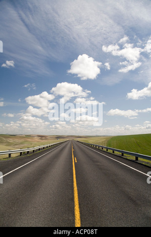 Un tronçon de route rurale, deux voies en direction de l'horizon sous un ciel avec cumulus. Banque D'Images