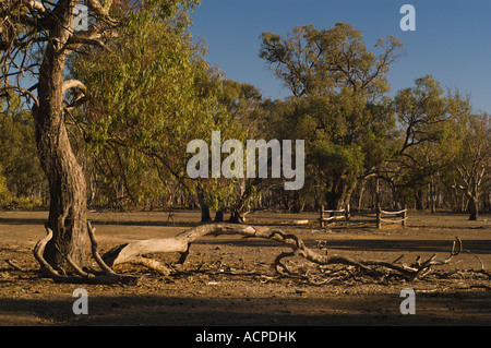 Murrays Moulin, parc d'état de Barmah Banque D'Images