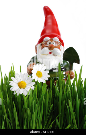 Garden gnome avec chat, herbe en premier plan Banque D'Images