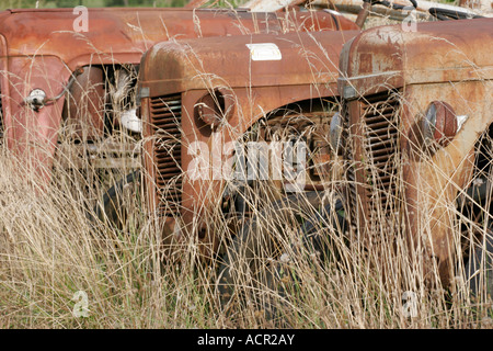 Une rangée de vieux millésime 1950 tracteurs agricoles rouillent dans un champ dans le sud-ouest de la France Banque D'Images