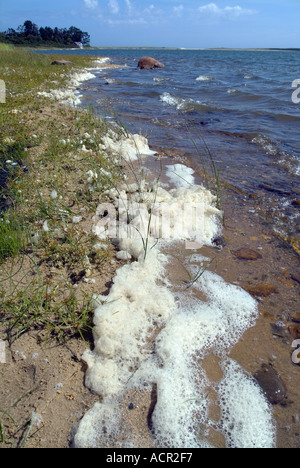 Écume de mer, océan, plage de mousse, mousse ou Spume Banque D'Images