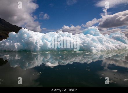 Iceberg du Glacier de San Rafael, Patagonie, Chili Banque D'Images