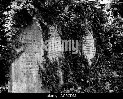 Image en noir et blanc de pierres tombales au Cimetière de Highgate Banque D'Images