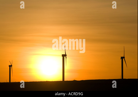 Vue panoramique des éoliennes à Cornwall pendant le coucher du soleil Banque D'Images