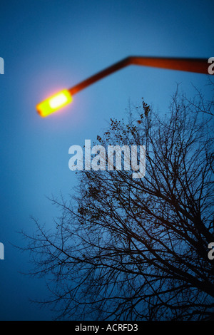 Lampadaire ET ARBRE CONTRE Ciel nocturne Banque D'Images