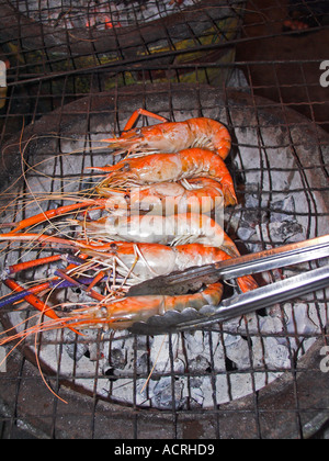 En ce qui concerne les crevettes sur les fruits de mer barbecue sur la plage Thaïlande Ko Samet Banque D'Images