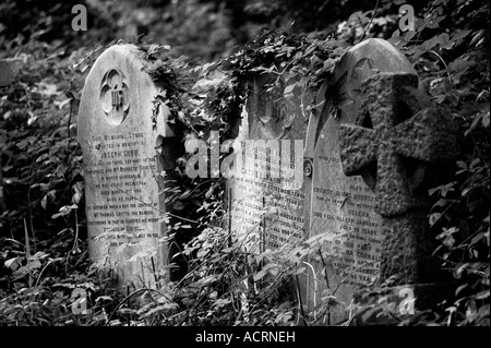 Image en noir et blanc de pierres tombales au Cimetière de Highgate Banque D'Images