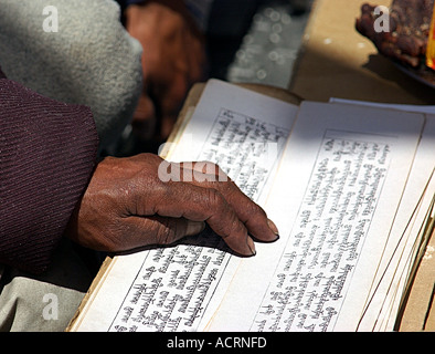 Un lama bouddhiste tibétain lit à partir de l'écriture au cours d'une cérémonie puja à l'Everest Népal Basecamp Banque D'Images