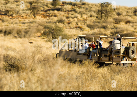 Sundowner drive jeu désert du Kalahari en Namibie Banque D'Images