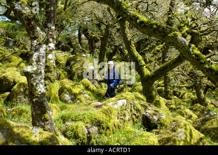 Garçon dans Whistmans deux ponts de bois, près de Dartmoor National Park Devon, Angleterre Banque D'Images