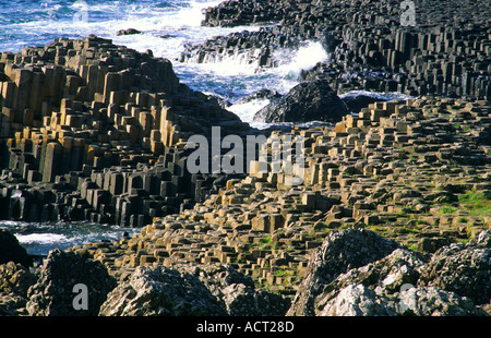 La chaussée des géants près de Bushmills, Irlande. Colonnes hexagonales de roche basaltique volcanique du nid d'abeille et de la Grande chaussée Banque D'Images