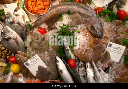 Œuvres de poissons marchands TRADITIONNELS ET DES FRUITS DE MER VERTE LE CAFE À BATH UK Banque D'Images