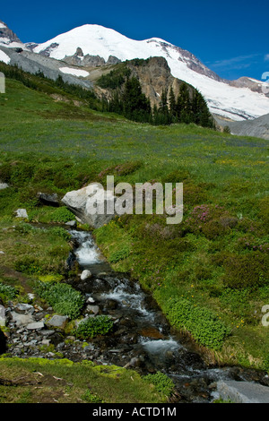 Prairie avec Stream soutenu par la montagne Mount Rainier Washington State USA Banque D'Images