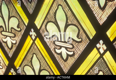 Close up of angle diamond joint à plomb du vitrail avec la répétition fleur-de-lys Banque D'Images