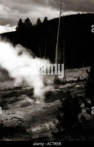 Les fumerolles à Geyser Hill. Old Faithful. Le Parc National de Yellowstone. L'État du Wyoming. USA Banque D'Images