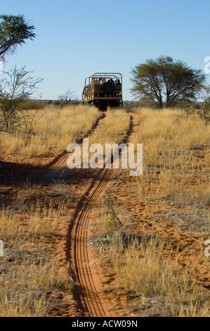 Sundowner drive jeu désert du Kalahari en Namibie Banque D'Images