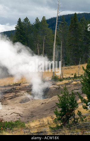 Les fumerolles à Geyser Hill. Old Faithful. Le Parc National de Yellowstone. L'État du Wyoming. USA Banque D'Images