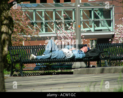 Homeless man sleeping on park bench Banque D'Images