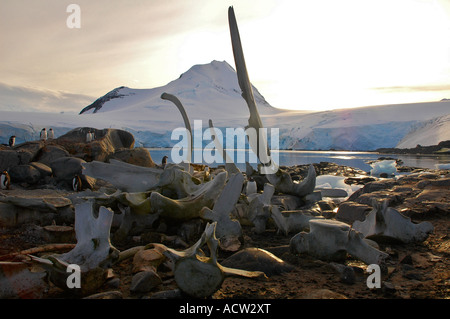 Beau paysage dans la péninsule Antarctique Antarctique Banque D'Images