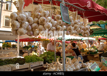 Bouquets d'ail au marché dans le sud de la France Banque D'Images