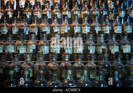Les flacons dans un cadre à la pharmacie Homeopatic Varanasi Bénarès Inde Banque D'Images