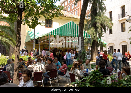 Les trois jours de la Cruces de Mayo (Croix de mai) commencer un mois une Fiesta non-stop à Cordoue, Andalousie, Espagne Banque D'Images