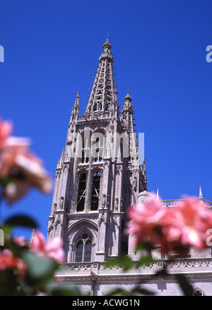 Les clochers de la cathédrale vu à travers roses Burgos Castille et Leon Espagne Banque D'Images