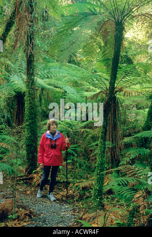 L'île du Sud Nouvelle-zélande WESTLAND Femme randonnées en forêt tropicale près de Fox Glacier Banque D'Images