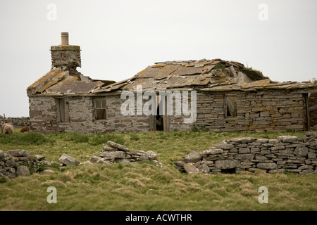 Abandonné et ruiné farm house cottage North Ronaldsay Orkney Islands Scotland UK Banque D'Images