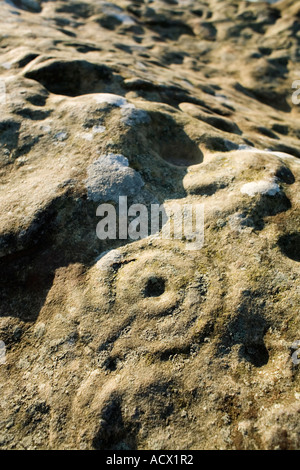 Tasse bague marquée et Lordenshaws rock Northumberland England Banque D'Images