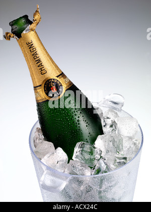 CHAMPAGNE dans un seau à glace Banque D'Images