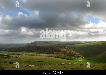 Vue d'automne sur South downs de wolstonbury hill Banque D'Images